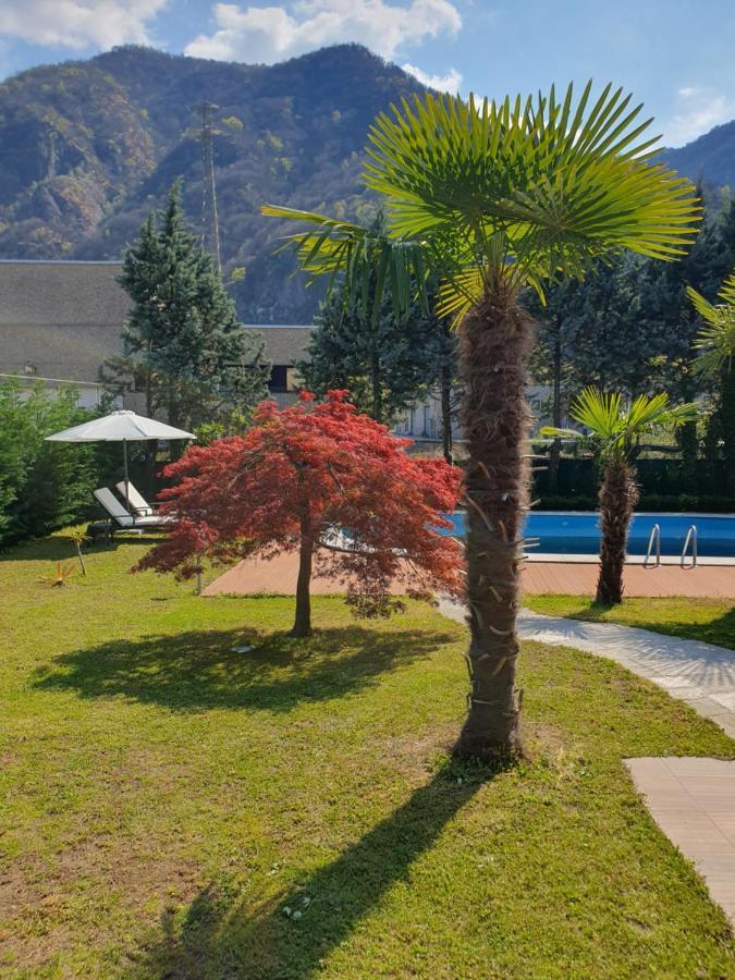 Villa Mariel Lago Maggiore 格拉韦洛纳托切 外观 照片